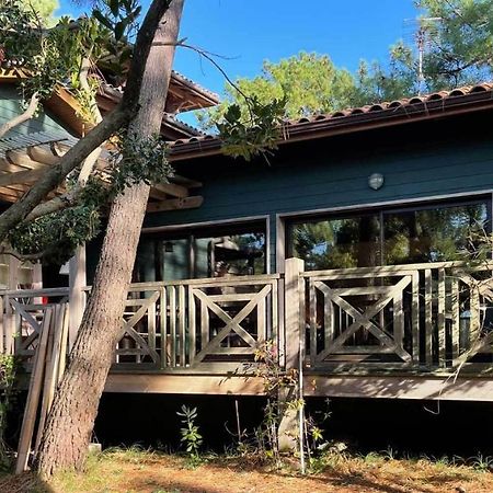 Yamina Lodge Lège-Cap-Ferret Екстериор снимка